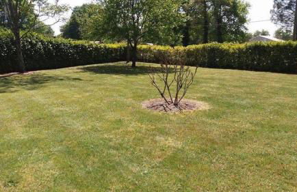 La maison d'été de mes parents - Foto 36