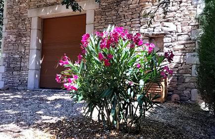 La perle de Gordes - Photo 77