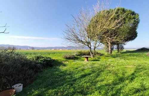 La Cabanya de la Canova - Foto 10