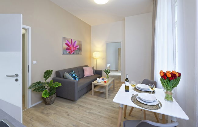 DownTown Suites Jugoslavska - Photo 23