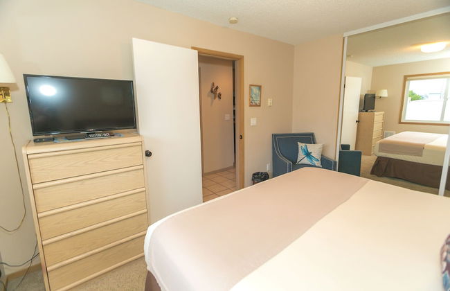 The Grey Gull - Foto 40