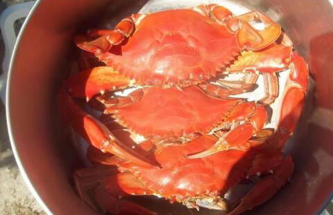 St Johns River Retreat Unit 2 - Foto 28