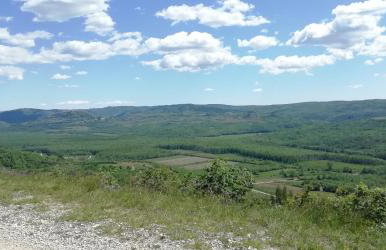 App Parenzana - Foto 20