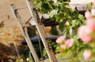 Gute Lage Ferienwohnungen - Foto 11