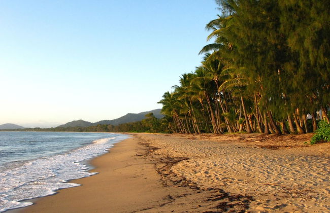 BeachView Apartments at Villa Paradiso - Photo 56