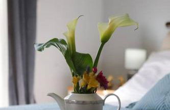 Katerina's Guest house - Foto 32