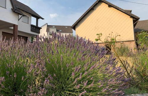 Home Feeling trierweiler - Foto 6