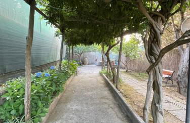 Villa Rosmary - Foto 75