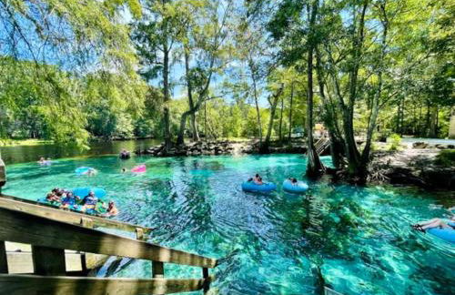 The Gator Grove Retreat - Foto 30