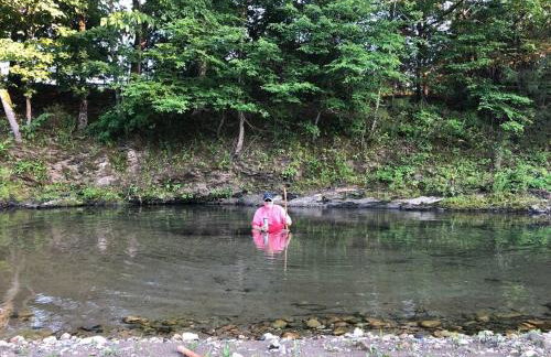 Liberty Cabin on Collier Creek - Foto 43