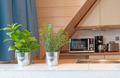 Haus Schwanensee Seeblick Bischofsee - Foto 14