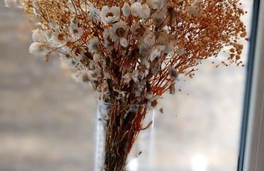 Olympia Terrace - Foto 23