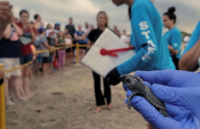 Campeche Triplex Unit B - Foto 32