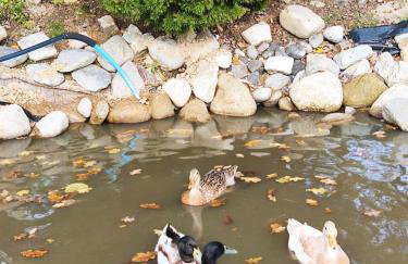 SielskoAnielsko k. Karpacza - Foto 22