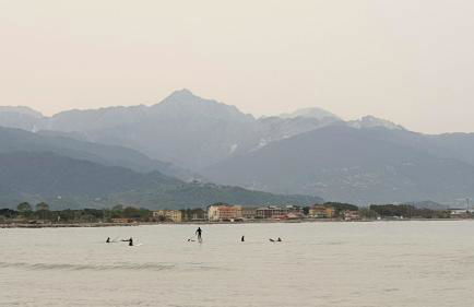 plumbago blue - Foto 17