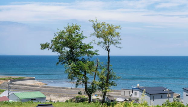 AKESUKE - Foto 2, Recepción