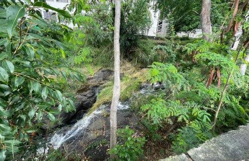 Urban oasis in heart of the city-large yard - Foto 19