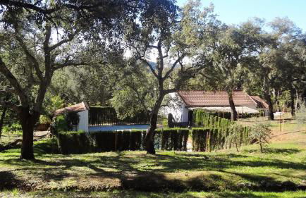 Casa Rural La Gallega - Foto 6