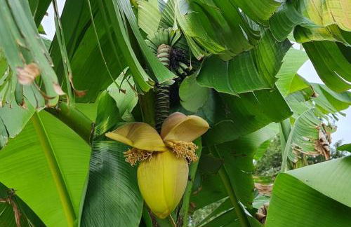 Villa piscine balnéothérapie et jacuzzi entièrement privée - Foto 10