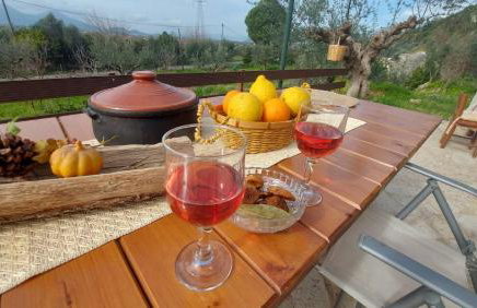 homonatura petrinum - Foto 24