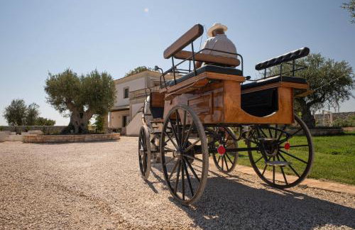 WePuglia - TERRATERRA - Masseria Minunni - Photo 39