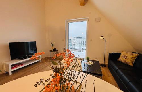 Marktplatz 14 Penthouse Apartments Bad Buchau - Foto 5