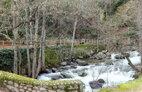 La Garzona - Foto 39