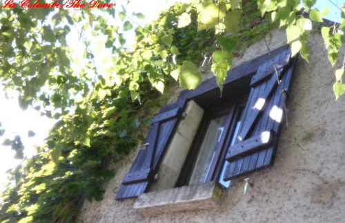 Songbird Sanctuary - Foto 9