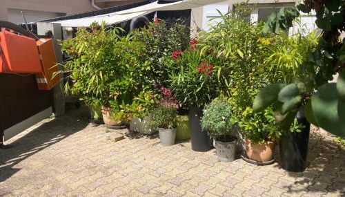 Maisonnette studio Arcachon 300m plage - Foto 5