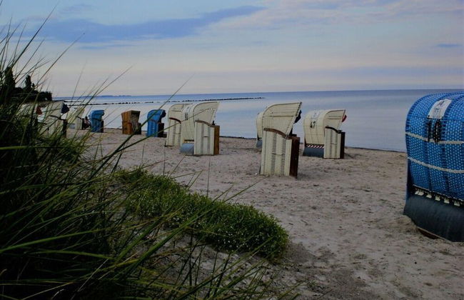 Sea View E&J Paul Comfortable Vacation Home - Foto 14