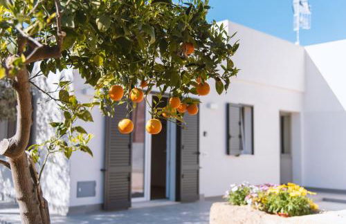 Cocci di tufo Appartamenti - Foto 15