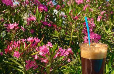 The Summer Pink House - Foto 24