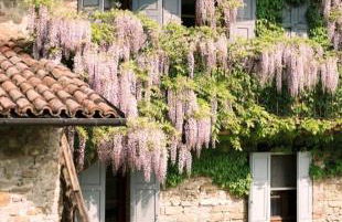 Cascina Burroni - Foto 4