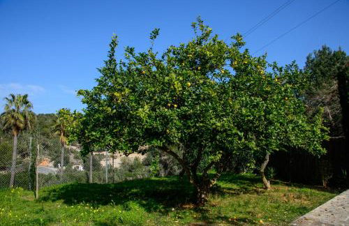 Villa Cas Puig - Beach of Portinatx - Foto 61