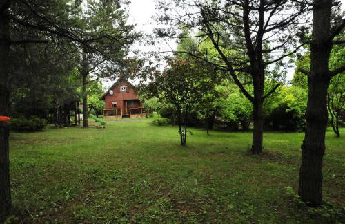 Szyszka i Róża Domek na Jurze - Foto 18