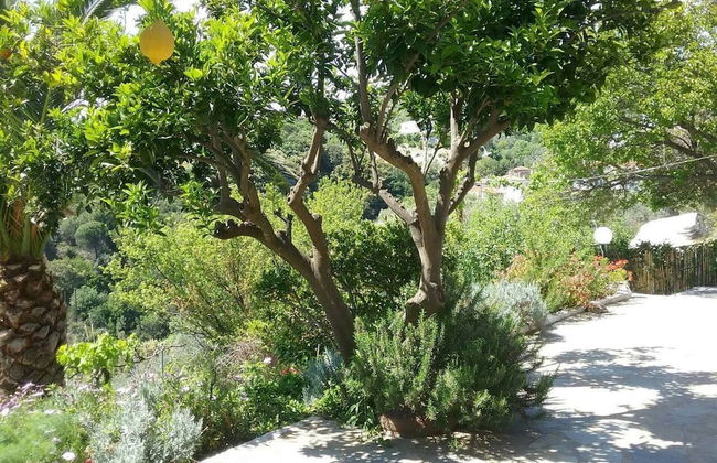 Paradise Found - A Greek Retreat With The View - Foto 18