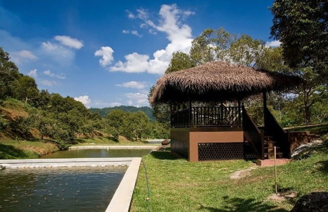 Tanah Aina Farouq - Foto 18