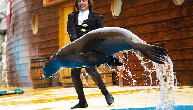 Tour in Queretaro - Photo 2