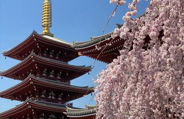 popobawa TESTING ONLY - Foto 3