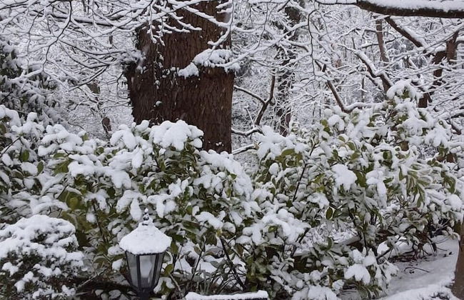 Whitmoor Farm - Foto 68