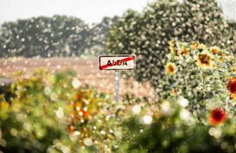 Agroturismo Biltegi Etxea - Foto 85