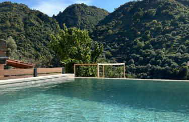 Nature dream 1833 - Photo 6