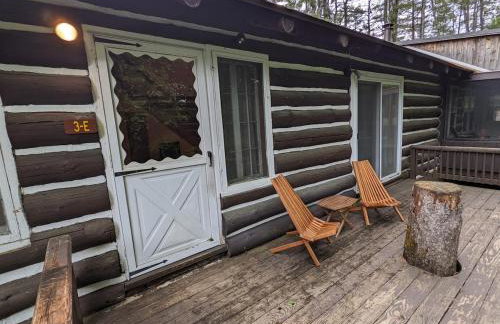 Cozy Adirondack JEM Your Four Season Getaway - Foto 10