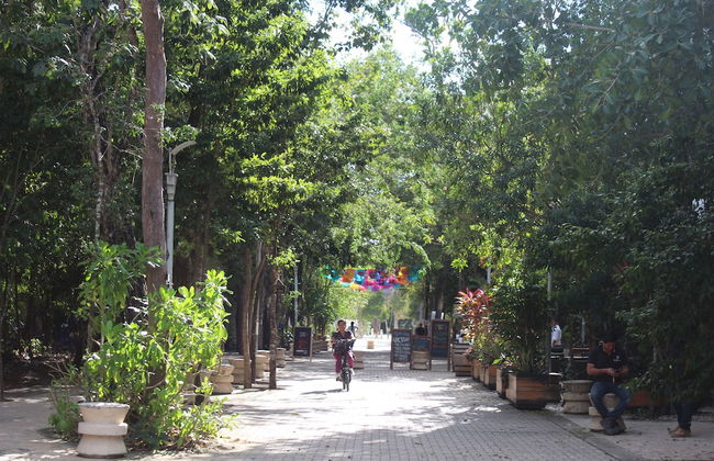 Calea Tulum - Photo 79