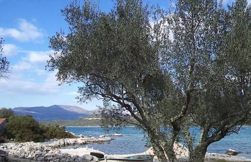 Apartments by the sea Kabli, Peljesac - 11695 - Foto 8