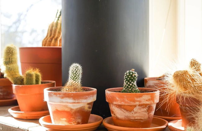 The Atrium Haven Winter Park Cabin Hot Tub - Photo 24