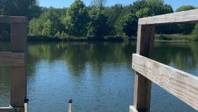 Morvan La Pastourelle - Foto 5