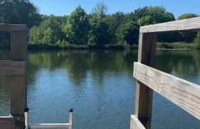 Morvan La Pastourelle - Foto 5