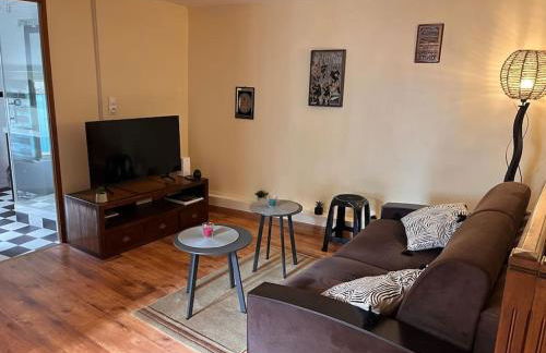 Charme et Calme au Cœur de ville - Foto 8