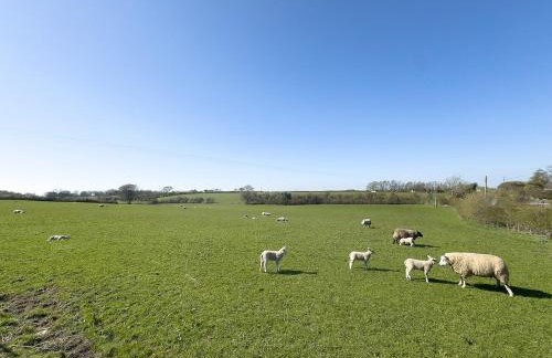 Spacious 4-Bed Lake District Getaway for Groups - Foto 15